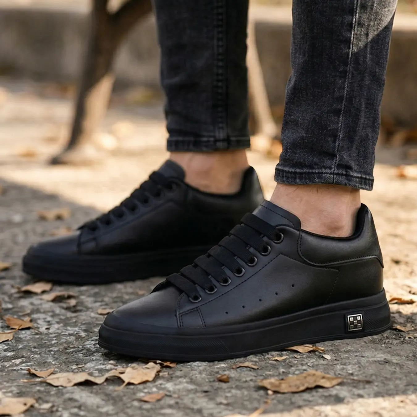 Checkmate 7cm height increasing sneakers for men - Lucimora