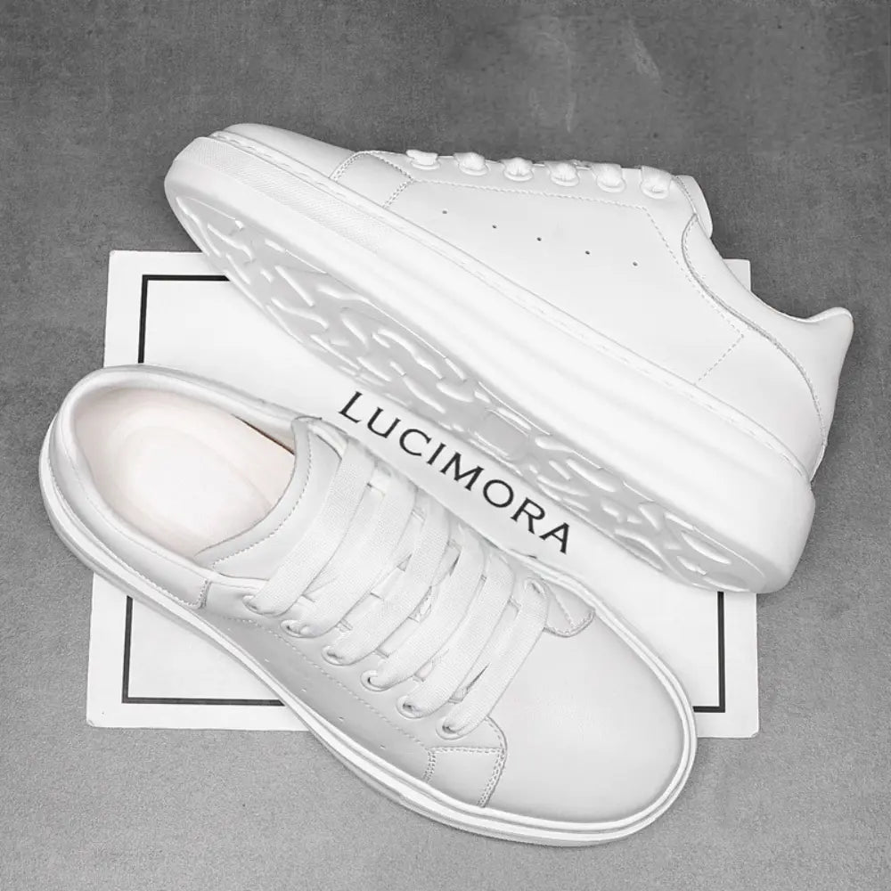 Montra (8cm Height Increase) | Elevator Leather Sneakers | Lucimora