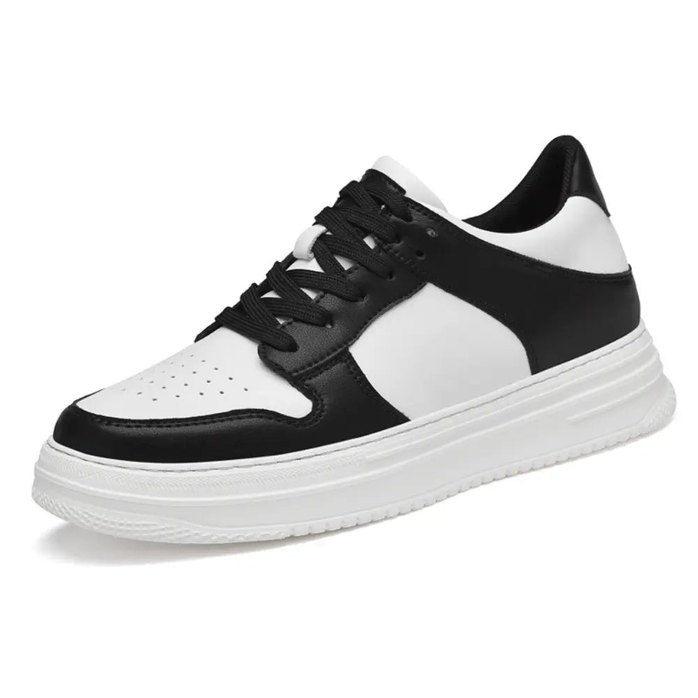 Daxon - 8cm (3") - LUCIMORA - Apparel & Accessories > Shoes > Elevator Shoes > Sneakers - LUCIMORA - Daxon:white:36 - 